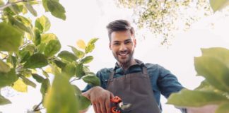 Ghidul tau complet pentru intelegerea erbicidelor Ghidul tau complet pentru intelegerea erbicidelor