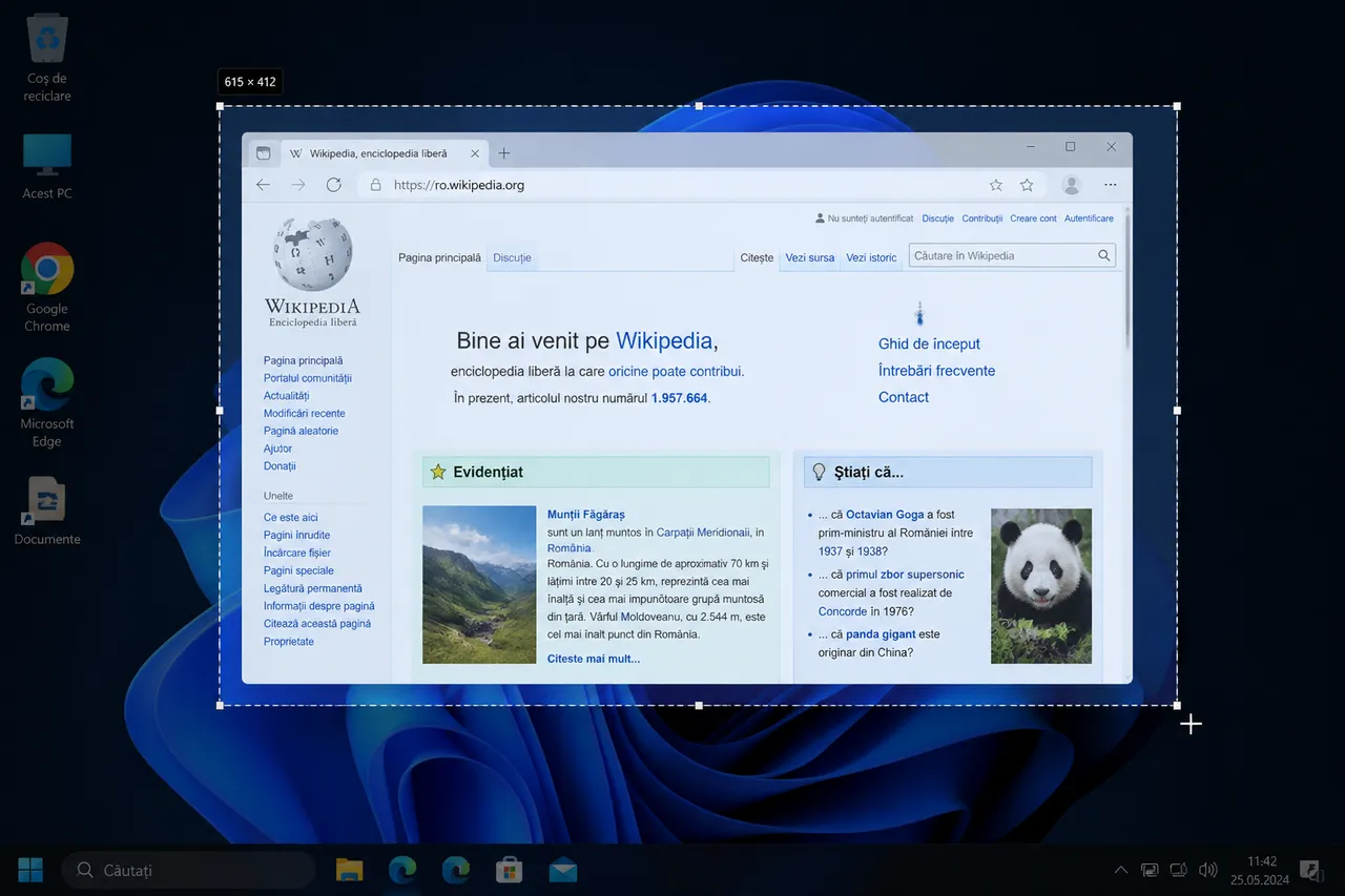 captură parțială de ecran cu Windows Shift S